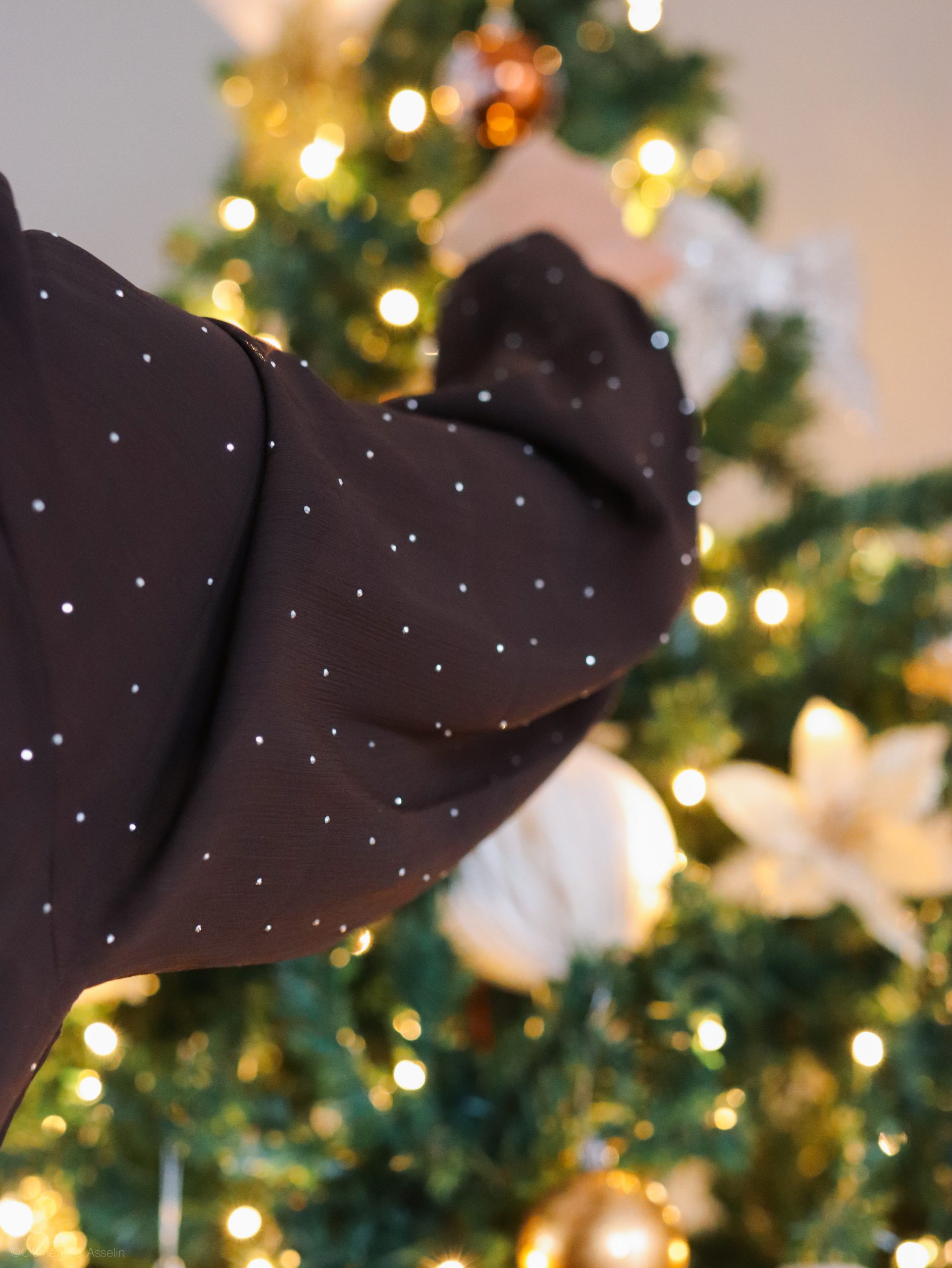 Robe Robbie – Image 9